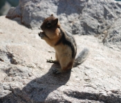 2018 07 Montana BTPRoad2 031